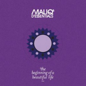 Maliq & D'Essentials - Penasaran