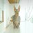 Bitsy - Hanyalah Kucing