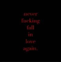 X Lovers - Never Fucking Fall in Love Again