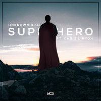 Unknown Brain - Superhero