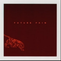 Vanessa Carlton - Future Pain