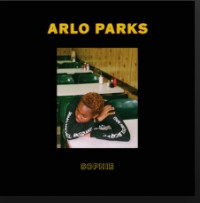 Arlo Parks - Paperbacks