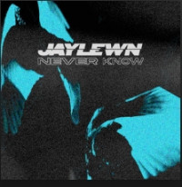 Jay Lewn - Never Know