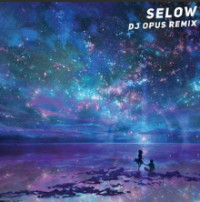 DJ Opus - Selow